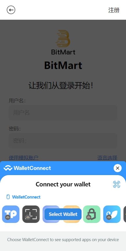 交易所系统 - 借款账户页