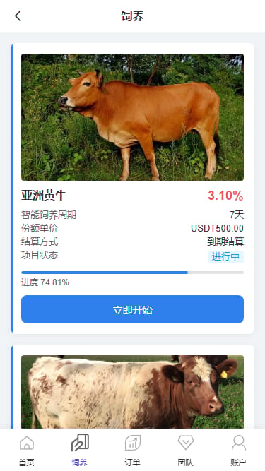 养牛理财系统 - 饲养页面