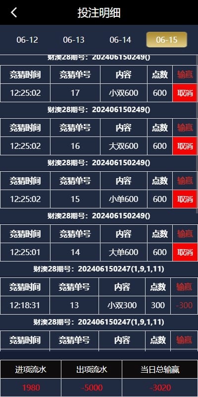 小马28游戏 - 投注明细页
