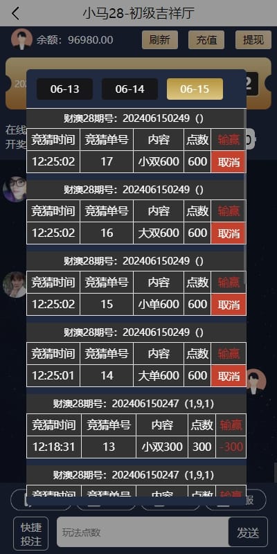 小马28游戏 - 开奖记录与投注明细