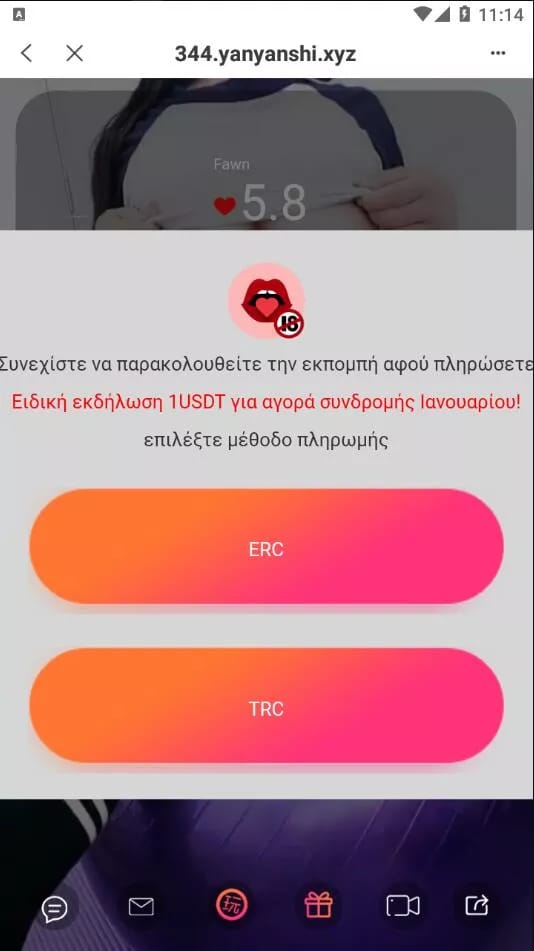 会员系统 - 链选择支付页