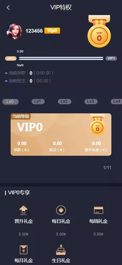南宫体育 - VIP特权页