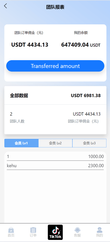 TikTok刷单系统 - 团队报表