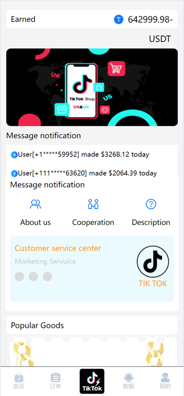 TikTok刷单系统 - 首页（收益与消息）