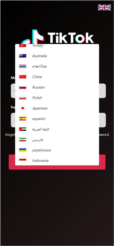 新版多语言/海外tiktok抢单刷单系统/刷单打针