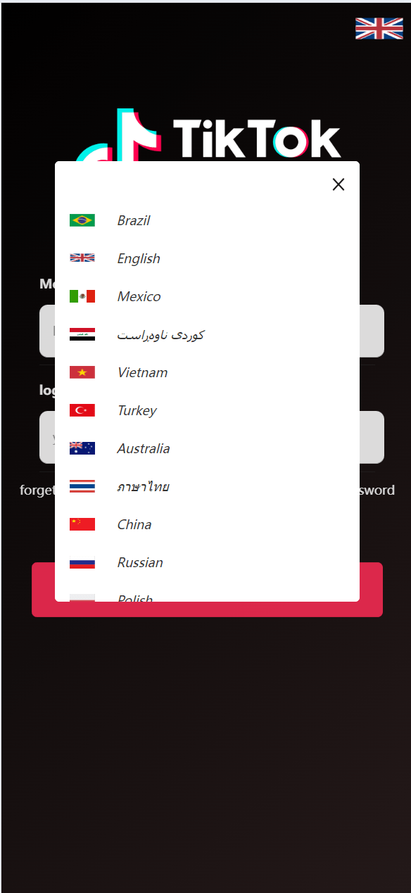 新版国际化/海外tiktok抢单抢单系统/抢单打针