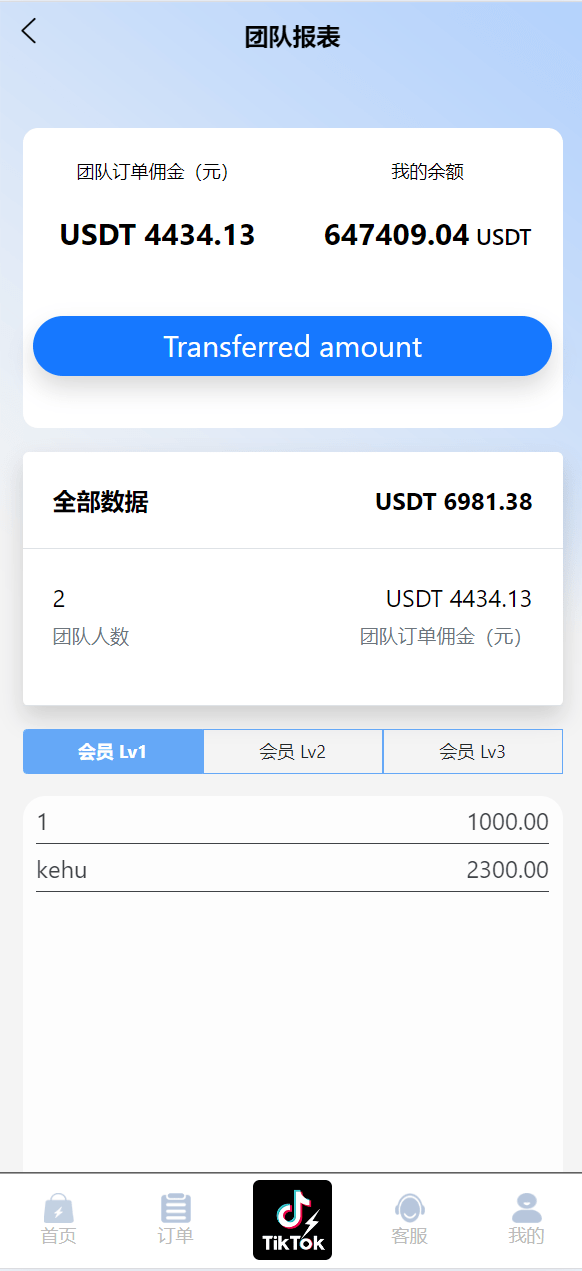 新版国际化/海外tiktok抢单抢单系统/抢单打针