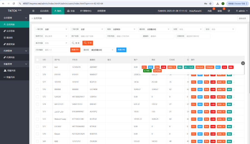 新版多语言/海外tiktok抢单刷单系统/刷单打针