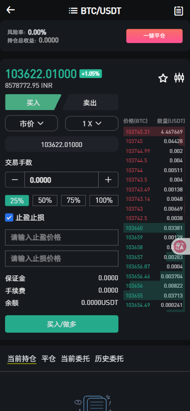 二开优化版海外交易所系统/币币期权杠杆交易/锁仓认购/合约插针/修复期权/清理后门