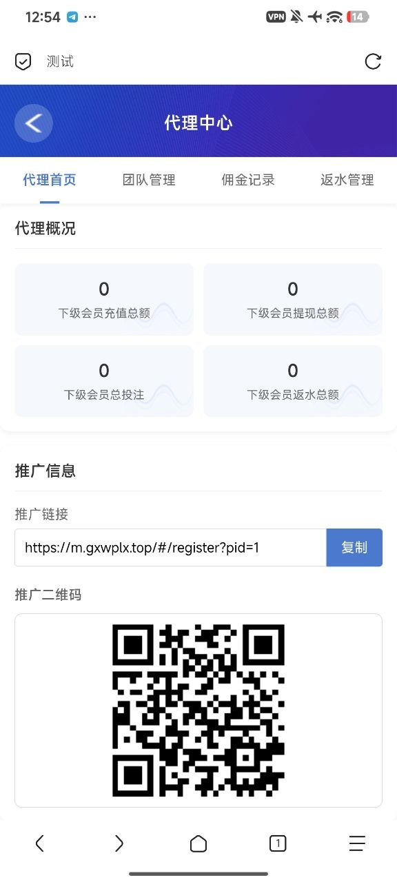 PG综合盘包网开源项目：Vue+PHP全接口源码，支持代理分销与VIP等级系统
