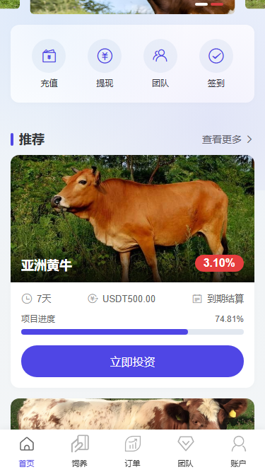 2026最新多语言养牛投资理财系统源码 VUE+PHP认养返利平台完整版-猫源码