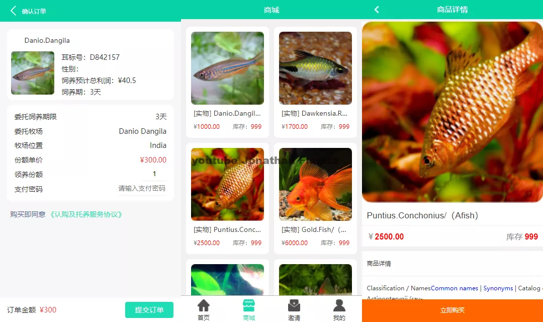 双语言养鱼金融投资理财源码支持商城抽奖投资收益余额宝等