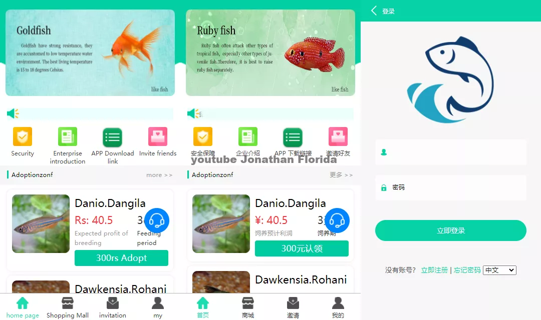 双语言养鱼金融投资理财源码支持商城抽奖投资收益余额宝等-猫源码