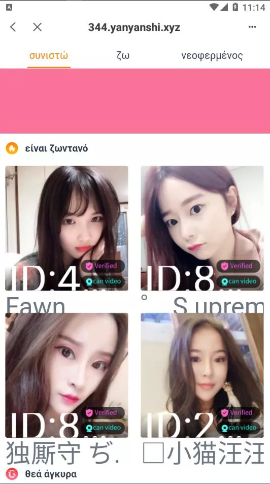 【全新4链盗U系统】usdt授权秒U源码+usdt钱包盗U源码-猫源码
